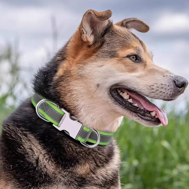 Custom Reflective Nylon Dog Collar