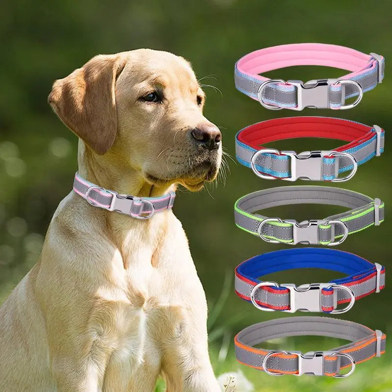 Custom Reflective Nylon Dog Collar