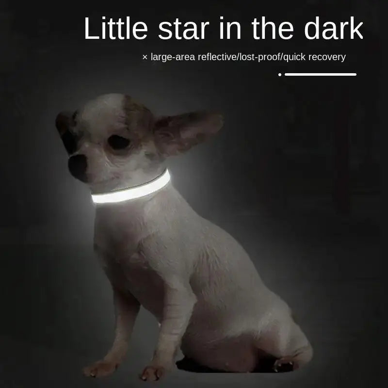 Custom Reflective Nylon Dog Collar